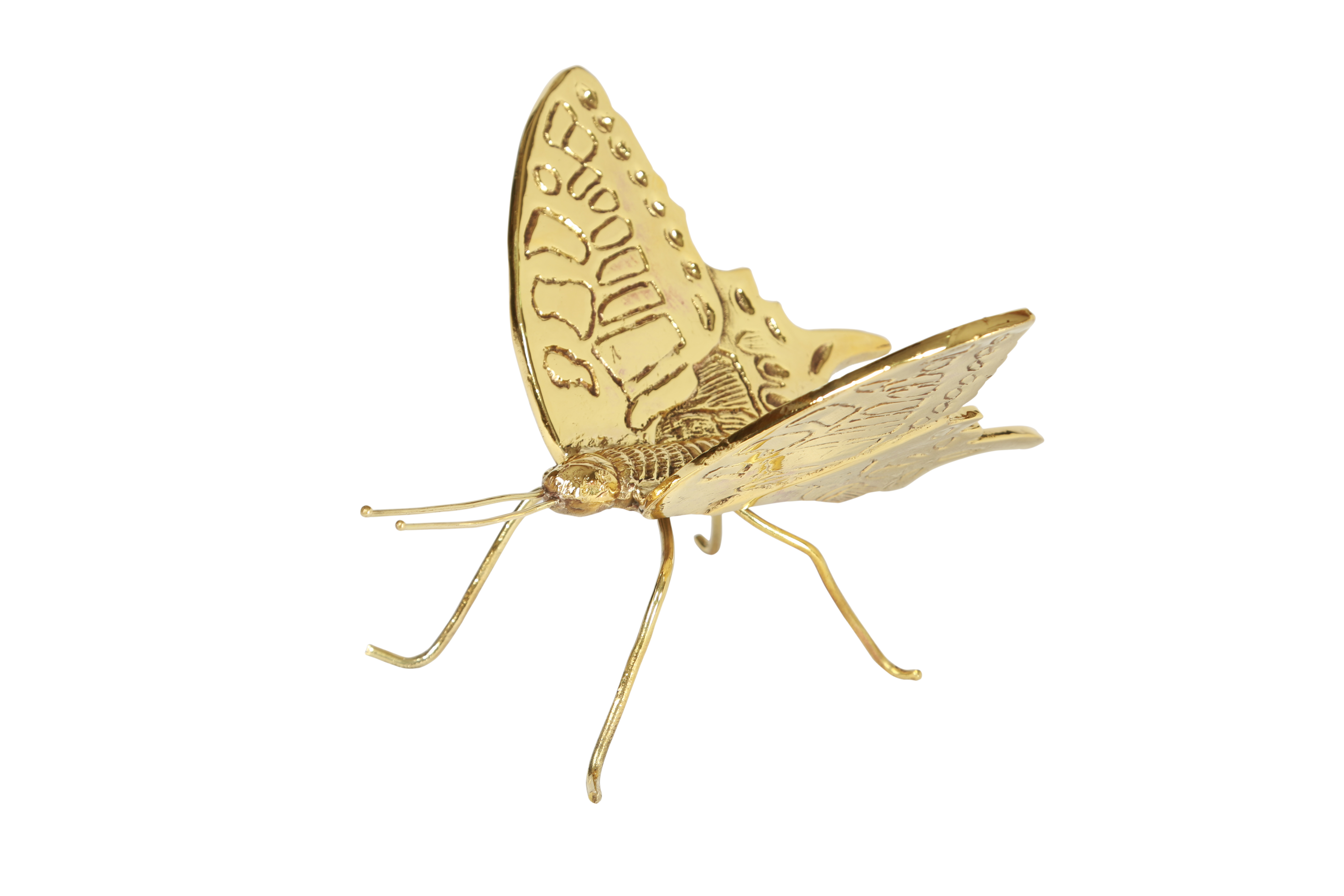 Gilded Home brass animal butterfly