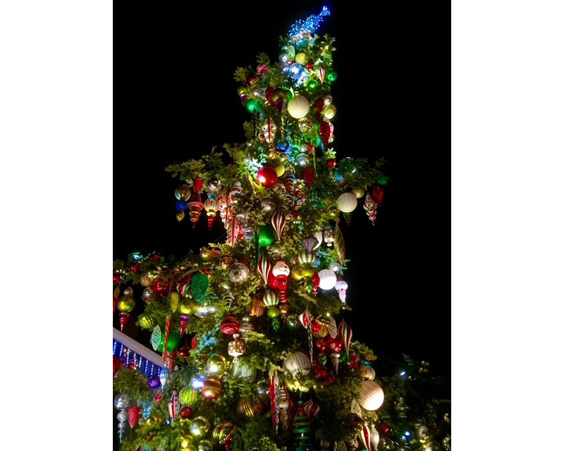 Christmas Tree Lights, Randall Whitehead, The Lighting Doctor