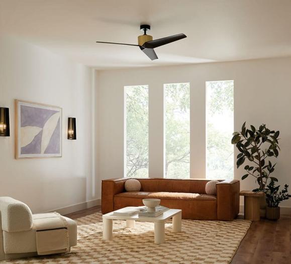 Fanimation drone online ceiling fan