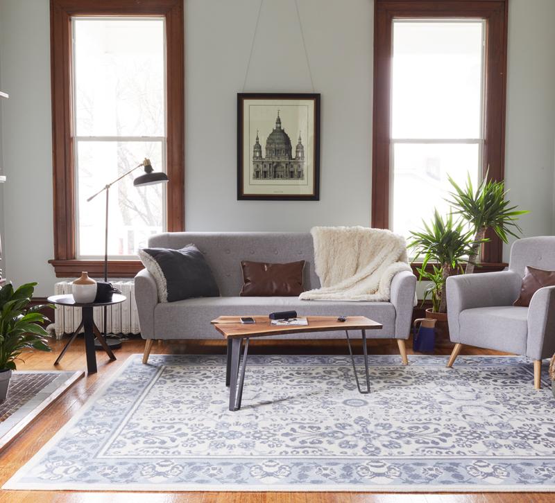 Living room with blue and white Boundless rug on the floor